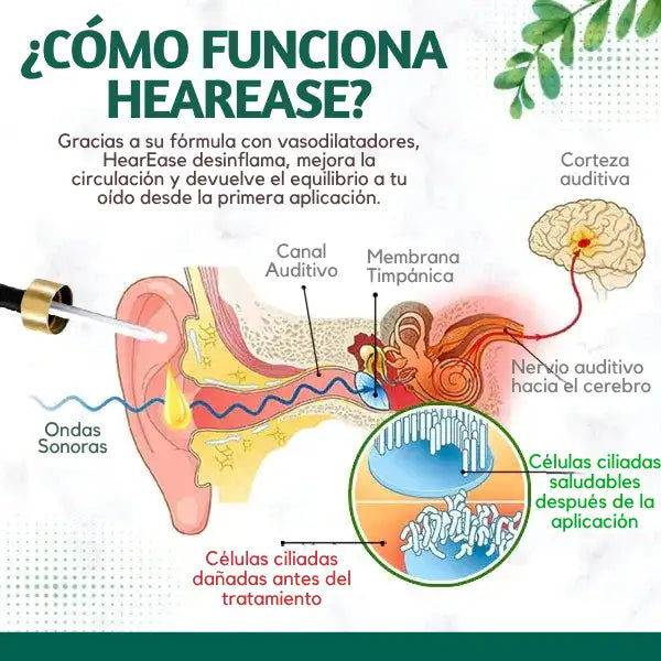 HearEase | Gotas Naturales para Tinnitus y Molestias de Oídos 👂🍃